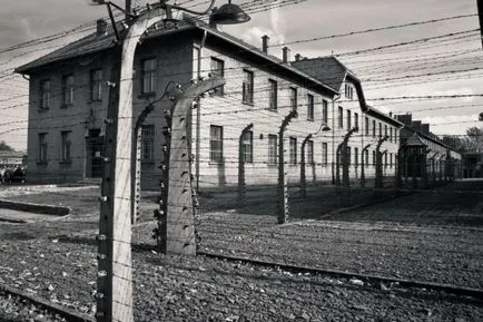 Auschwitz felszabadulása