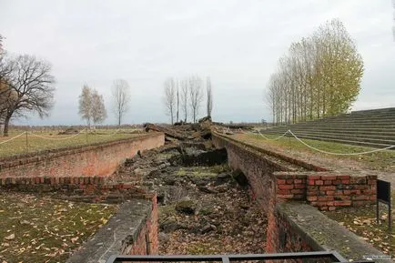 plăcuțe de înmatriculare pe - - Auschwitz site-ul puterii etichetat