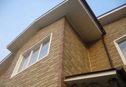 Decorarea panourile fațadă a casei sub o stâncă