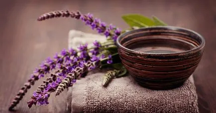 Отварата от градински чай в народната медицина и козметология