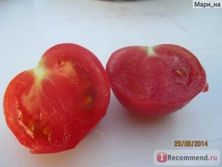 Legume tomate sau tomate - „Totul despre tomate, și cum să se facă distincția de tomate obișnuite gidrelennye