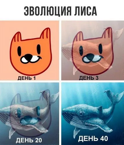 În cazul în care el a mers autocolante meme Vkontakte - vulpi