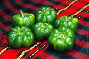 Peppers пълнени със зеленчуци