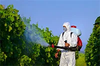 Пестициди за защита на растения, животни и хора