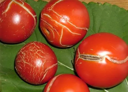 De ce tomate fisura fisura, spargere, verde, roșii