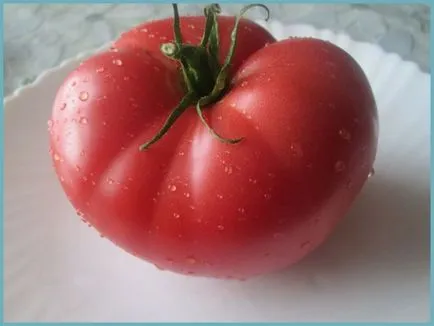 De ce crack și izbucni tomate în seră