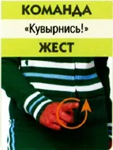 Як навчити собаку команді кувиркнісь (команді) Як навчити собаку команді кувиркнісь