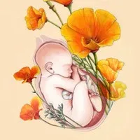 Як не дратуватися на свою дитину (як) Як не дратуватися на свою дитину