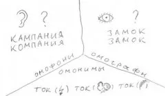 Як називається плід пшениці