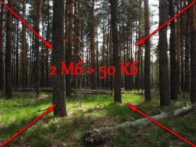 Як оформити фотографії для сайту і взагалі (FastStone Image Viewer) Як оформити фотографії для сайту і взагалі