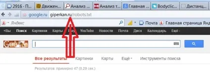 Як знайти robots txt