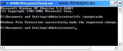 Як очистити комп'ютер від вірусів, windows xp (очищення реєстру windows xp) Як очистити комп'ютер від вірусів, windows xp