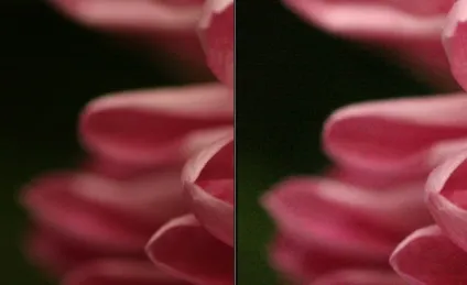 Як навчитися правильно фотографувати дзеркальним фотоапаратом (навчитися) Як навчитися правильно фотографувати дзеркальним фотоапаратом