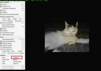Як оформити фотографії для сайту і взагалі (FastStone Image Viewer) Як оформити фотографії для сайту і взагалі