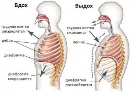 Як навчитися співати