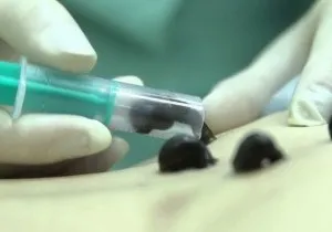 Роль вуглеводів в харчуванні людини які продукти багаті вуглеводами і добова потреба в (які) Роль вуглеводів в харчуванні людини які продукти багаті вуглеводами і добова потреба в