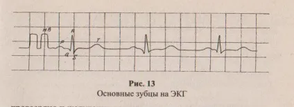 Ритмічність і підрахунок частоти серцевих скорочень, ЧСС (частоти серцевих скорочень) Ритмічність і підрахунок частоти серцевих скорочень, ЧСС