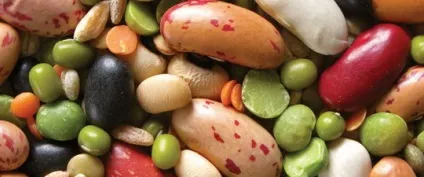 Роль вуглеводів в харчуванні людини які продукти багаті вуглеводами і добова потреба в (харчуванні) Роль вуглеводів в харчуванні людини які продукти багаті вуглеводами і добова потреба в