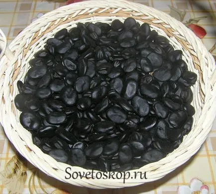 Корисні властивості бобів