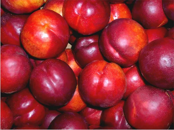 Proprietăți utile de nectarine