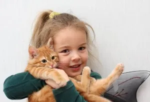 Породи котки за деца - което поражда подходящ за деца