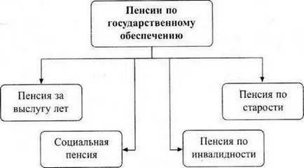 Концепция и видове пенсии в Закона за социалното осигуряване