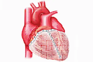 Jelek a bal kamrai magas vérnyomás - kezelés a szív