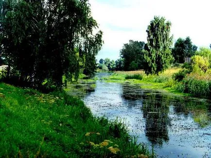 A természet a moszkvai régió, a sokszínűség és a védelmet