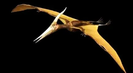 Pterodactil, animalelor și plantelor mondială