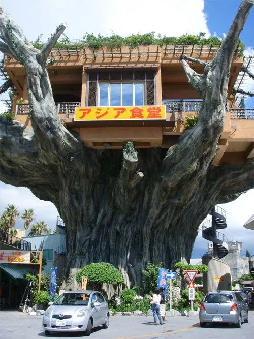 Restaurantul este pe copac (Japonia) - Ghid de călătorie - lumea este frumoasă!
