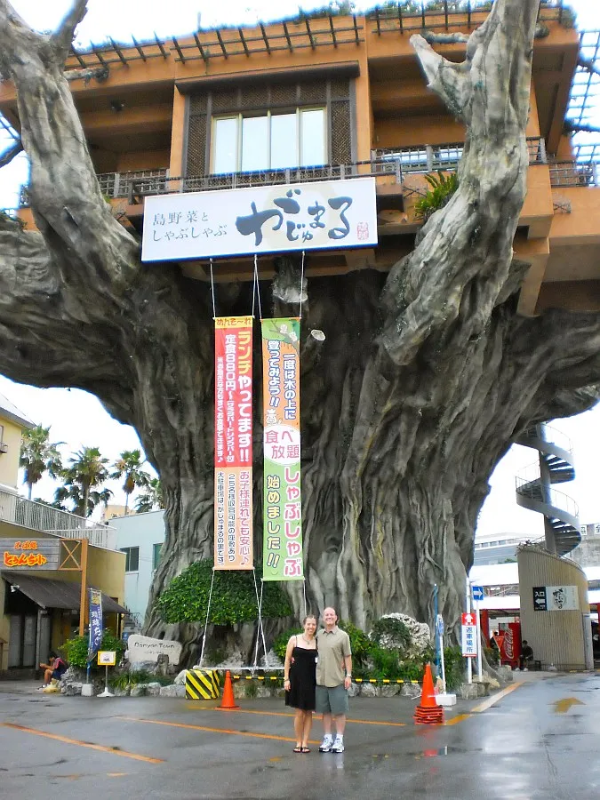 Az étterem a fán (Japán) - útikalauz - a világ gyönyörű!