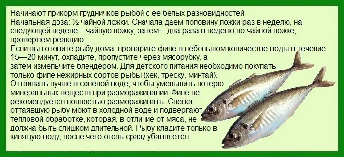 Риба для грудничка (рибний) Риба для грудничка