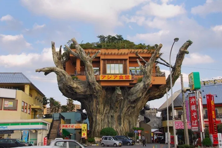 Az étterem a fán (Japán) - útikalauz - a világ gyönyörű!