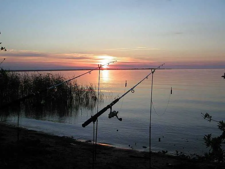 Horgászat a Ladoga-tó díj