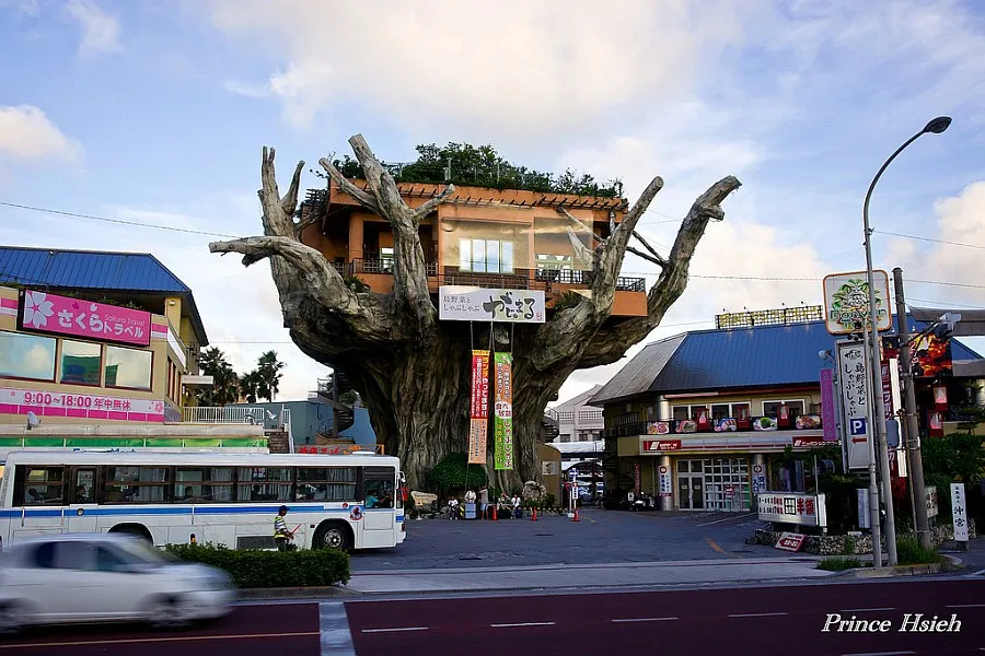 Az étterem a fán (Japán) - útikalauz - a világ gyönyörű!