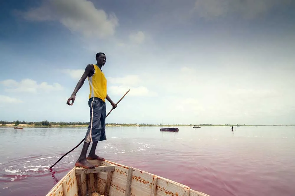 Roz Lacul în Senegal Retba (17 poze și video)