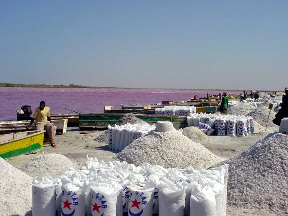 Roz Lacul Retba (retba), Senegal - Ghid de călătorie - lumea este frumoasă!