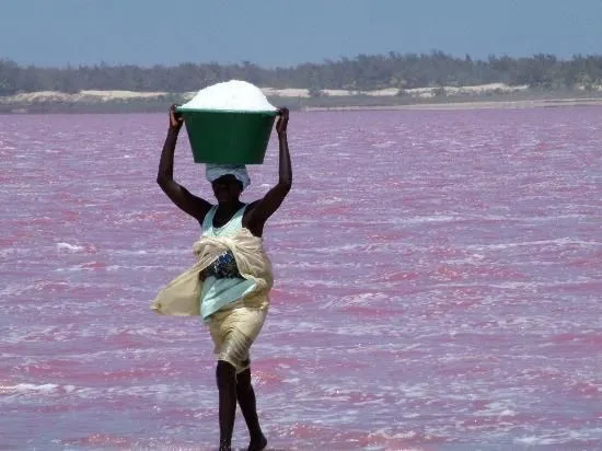 Roz Lacul Retba (retba), Senegal - Ghid de călătorie - lumea este frumoasă!