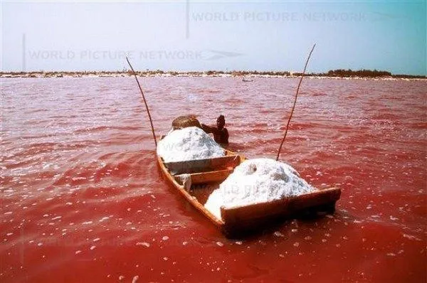 Roz Lacul Retba (retba), Senegal - Ghid de călătorie - lumea este frumoasă!