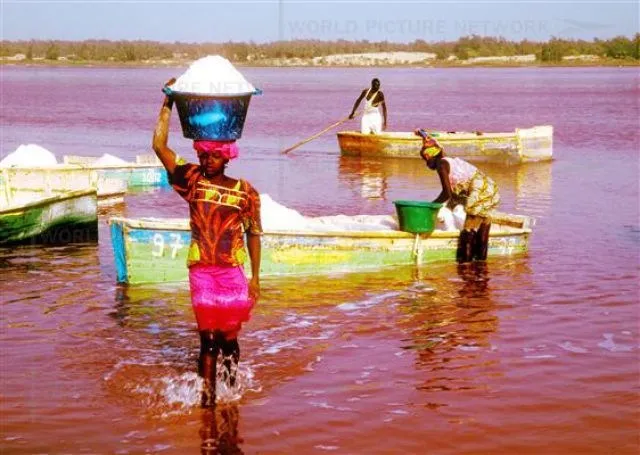 Pink езеро в Сенегал Ретба (17 снимки и видео)