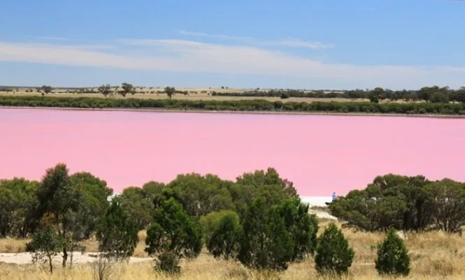 Roz Lacul Retba (retba), Senegal - Ghid de călătorie - lumea este frumoasă!