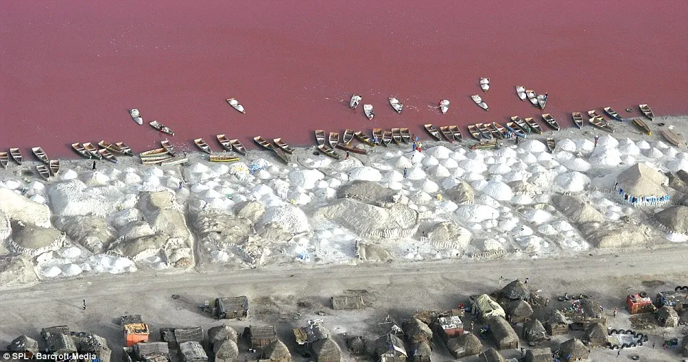 Roz Lacul Retba (retba), Senegal - Ghid de călătorie - lumea este frumoasă!