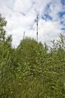 Рум'янцевські заброшкі