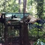 Рука допомоги рукокрилих, або що робити при зустрічі з кажаном, jugoslovo (госпіталь для кажанів) Рука допомоги рукокрилих, або що робити при зустрічі з кажаном, jugoslovo