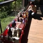 Рука допомоги рукокрилих, або що робити при зустрічі з кажаном, jugoslovo (летючої) Рука допомоги рукокрилих, або що робити при зустрічі з кажаном, jugoslovo