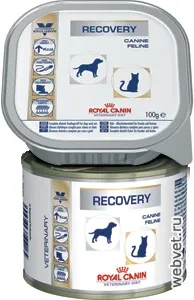 Royal canin recovery - інструкція, опис, дозування - ветеринарний препарат (день енергетичної потреби) Royal canin recovery - інструкція, опис, дозування - ветеринарний препарат