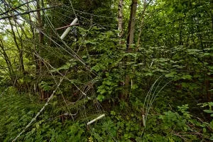 Рум'янцевські заброшкі