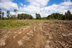 Рум'янцевські заброшкі