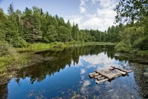 Рум'янцевські заброшкі