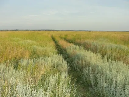 Рязанська область